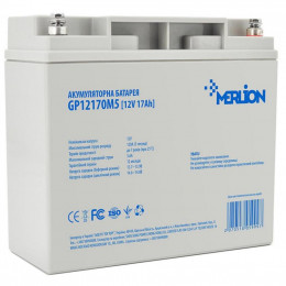 Батарея к ИБП Merlion 12V-17Ah (GP12170M5) фото 1