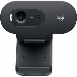 Веб-камера Logitech C505 HD (960-001372) фото 2