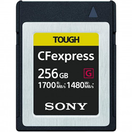 Карта памяти Sony 256GB CFExpress Type B (CEBG256.SYM) фото 1