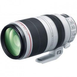 Объектив Canon EF 100-400mm f/4.5-5.6L IS II USM (9524B005) фото 1