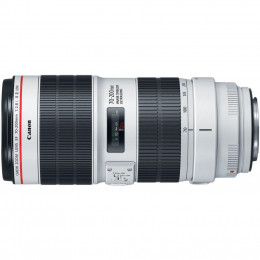Объектив Canon EF 70-200mm f/2.8L IS III USM (3044C005) фото 2