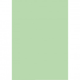 Бумага Buromax А4 PASTEL, light green, 20 sheets, 80g (BM.2721220-15) фото 2