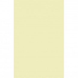 Бумага Buromax А4, 80g, PASTEL beige, 20sh, EUROMAX (BM.2721220E-28) фото 2