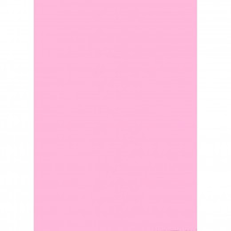 Бумага Buromax А4, 80g, PASTEL pink, 20sh, EUROMAX (BM.2721220-10) фото 2