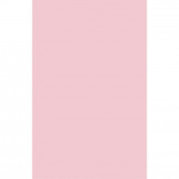 Бумага Buromax А4, 80g, PASTEL pink, 20sh, EUROMAX (BM.2721220E-10) фото 2