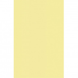 Бумага Buromax А4, 80g, PASTEL yellow, 20sh, EUROMAX (BM.2721220E-08) фото 2