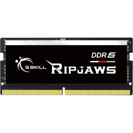 Модуль памяти для ноутбука SoDIMM DDR5 16GB 4800 MHz Ripjaws G.Skill (F5-4800S4039A16GX1-RS) фото 1