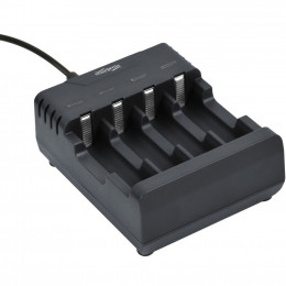 Зарядное устройство для аккумуляторов EnerGenie inputMicro-USB(5В/2А), Ni-MH/Ni-CD, AA/AAA (BC-USB-0 фото 1
