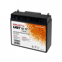 Батарея к ИБП Salicru UBT1217 12V 17 Ah (UBT1217) фото 1