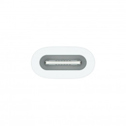 Адаптер Apple USB-C to Apple Pencil Adapter, Model A2869 (MQLU3ZM/A) фото 2