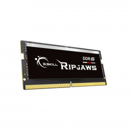 Модуль для ноутбука SoDIMM DDR5 16GB 4800 MHz Ripjaws G.Skill (F5-4800S3434A16GX1-RS) фото 2