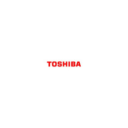 Тонер-картридж Toshiba T-2822E BLACK (6AJ00000249) фото 1