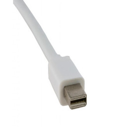Кабель мультимедійний Mini DisplayPort to DVI 0.15m Extradigital (KBD1677) фото 2