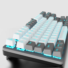 Клавиатура Aula F3287 Keycap KRGD Blue USB UA White/Grey (6948391240688) фото 2