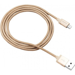Дата кабель USB 2.0 AM to Lightning 1.0m MFI Golden Canyon (CNS-MFIC3GO) фото 1