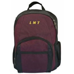 Рюкзак для ноутбука LNT 15.6\ BN115 (LNT-BN115G-RD) фото 1